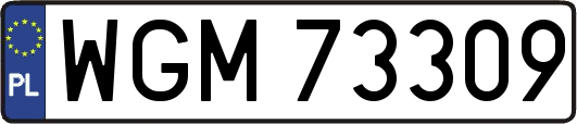 WGM73309