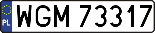 WGM73317