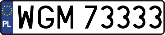 WGM73333