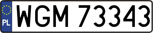 WGM73343