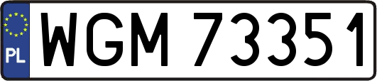 WGM73351