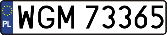 WGM73365