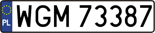 WGM73387