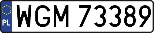 WGM73389