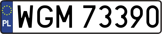 WGM73390