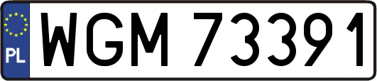 WGM73391