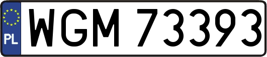 WGM73393