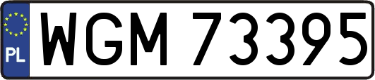 WGM73395