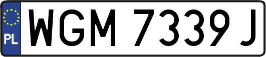 WGM7339J