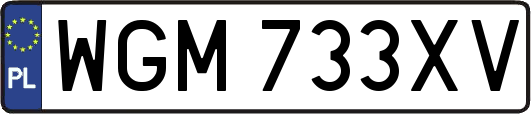 WGM733XV