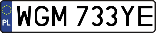 WGM733YE