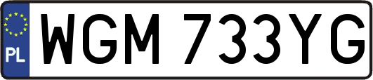 WGM733YG