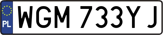 WGM733YJ