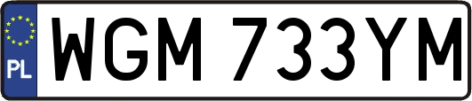 WGM733YM