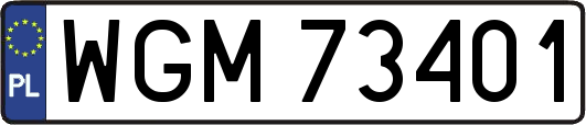WGM73401