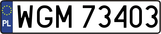 WGM73403