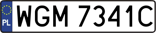 WGM7341C