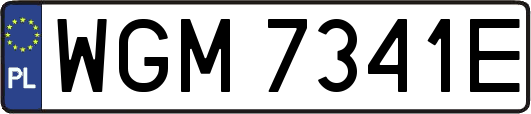 WGM7341E