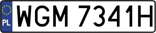 WGM7341H