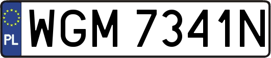 WGM7341N