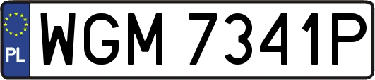 WGM7341P