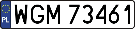 WGM73461