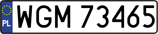 WGM73465