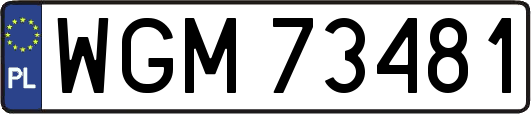 WGM73481