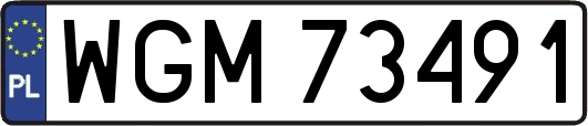 WGM73491