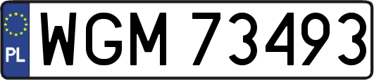 WGM73493