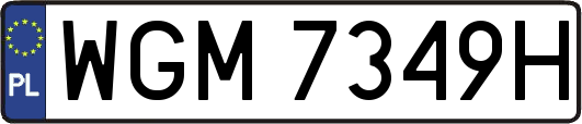 WGM7349H