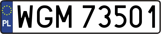 WGM73501