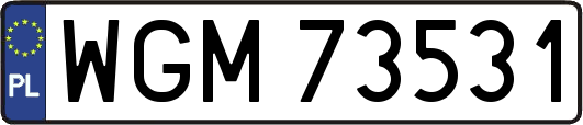 WGM73531