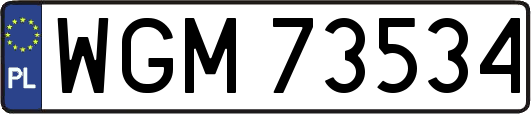 WGM73534