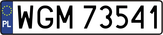 WGM73541