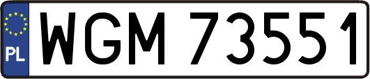 WGM73551