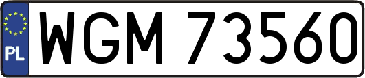 WGM73560