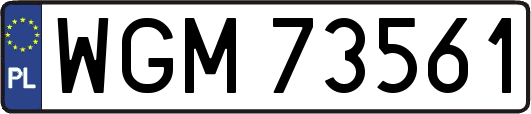 WGM73561