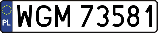 WGM73581
