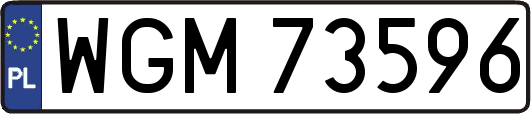 WGM73596