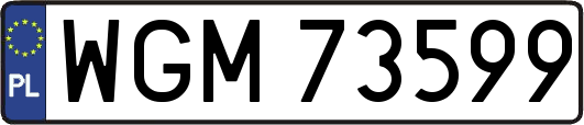 WGM73599