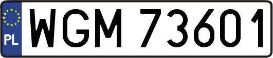 WGM73601