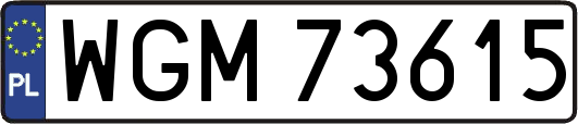 WGM73615