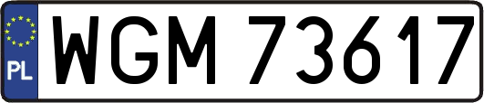 WGM73617