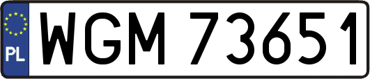 WGM73651