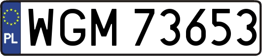 WGM73653