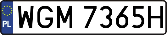 WGM7365H