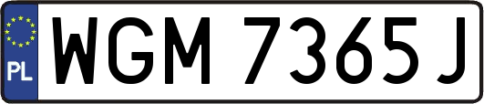 WGM7365J