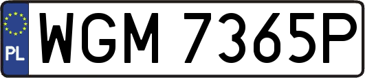 WGM7365P