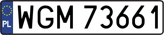 WGM73661